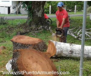 www.visitpuertoarmuelles.com