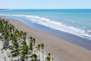 www.visitpuertoarmuelles.com