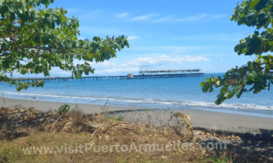 Beachfront lot for sale - VisitPuertoArmuelles