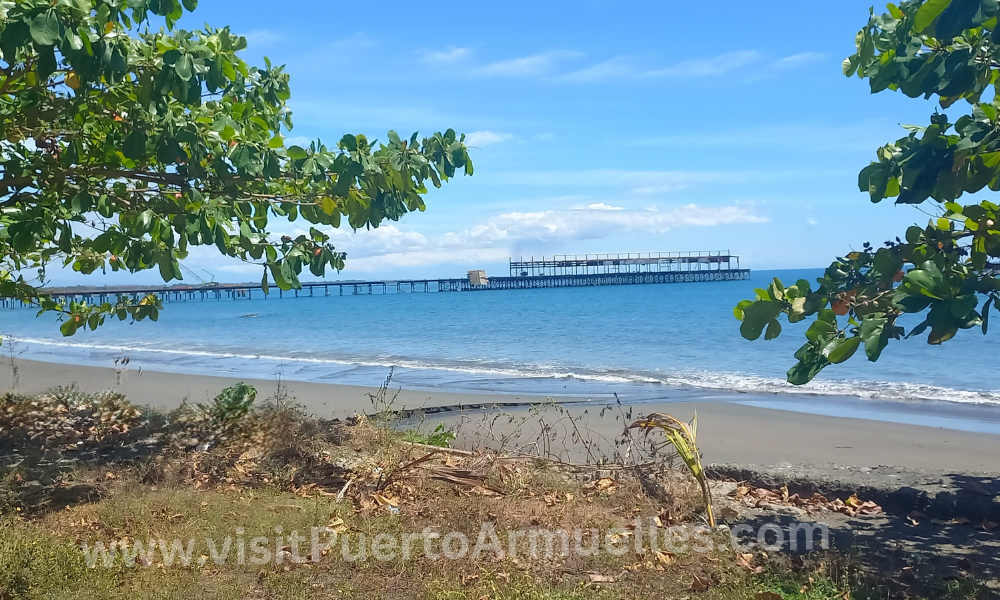 Beachfront lot for sale - VisitPuertoArmuelles