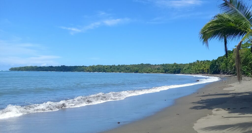 www.visitpuertoarmuelles.com